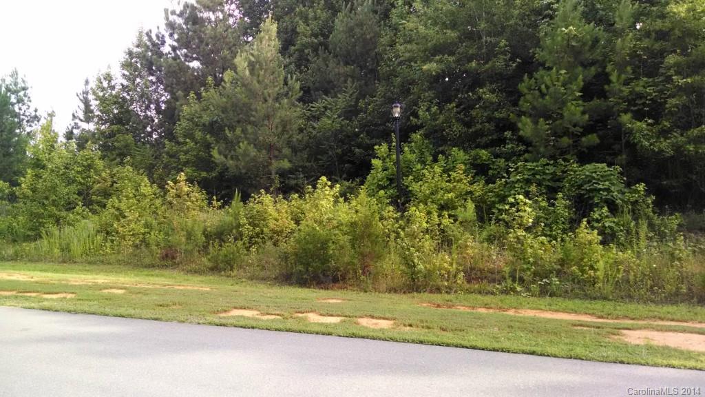 Holland Springs - Land