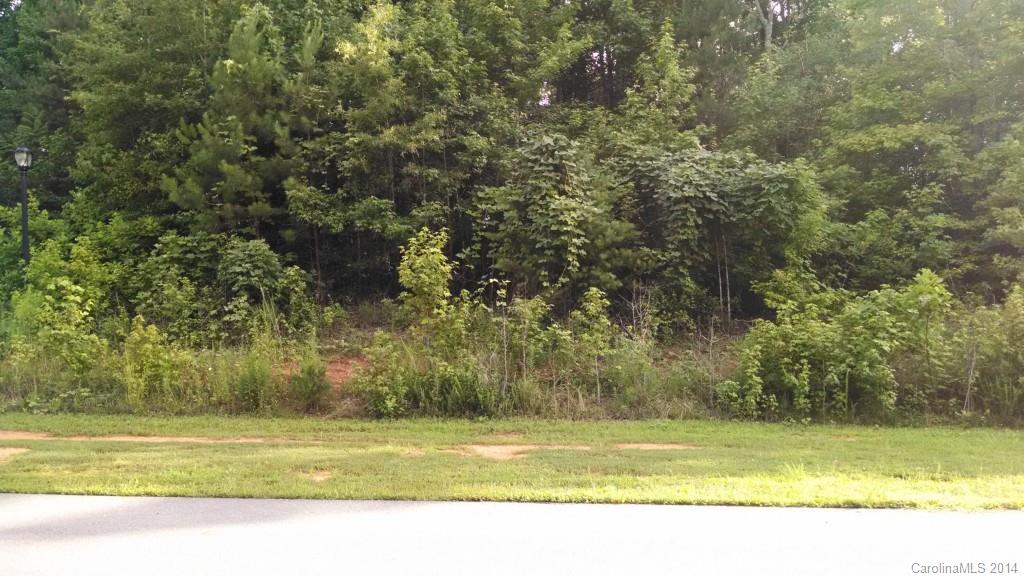 Holland Springs - Land