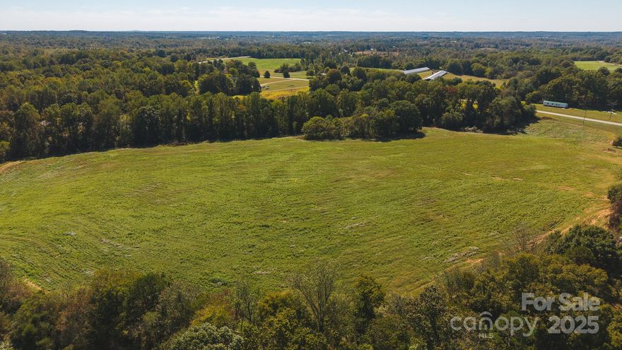 New Price! 46+/- acres in Yadkin County near the intersection of US 21 and Mary Lane! This versatile property offers a mix of open pasture and wooded acreage. Potential uses are  farming, recreation, or building your dream home. The cleared area was previously leased for row crops—new owner may continue leasing or use for personal projects. A creek runs along the rear border of the forested area, adding natural charm and privacy. No city taxes and no restrictions mean endless possibilities—create your country estate, hobby farm, or private retreat. Convenient to I-77, Wilkes, and Yadkinville!  $559,000
