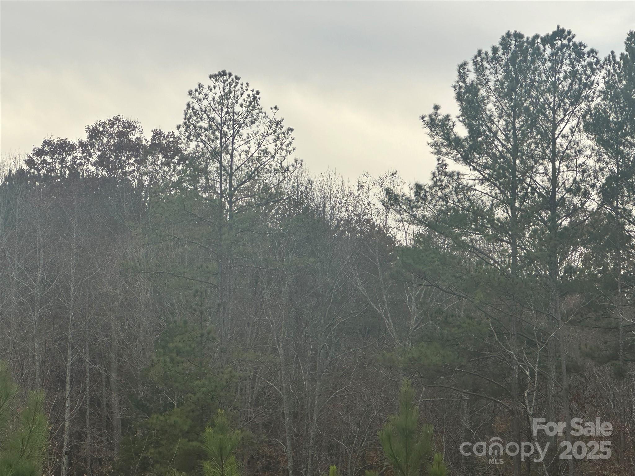 Deer Run Farms - Land