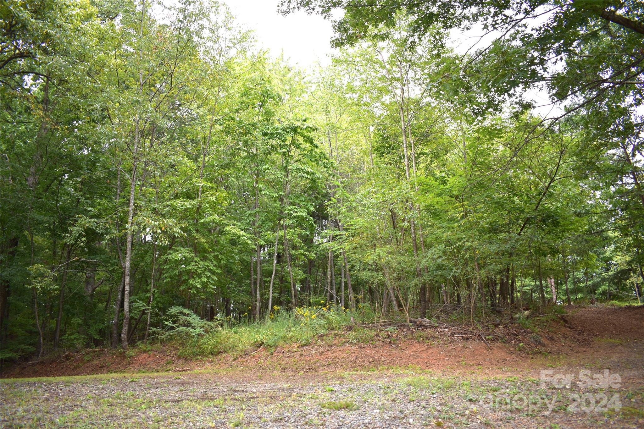 Lakeview Estates - Land