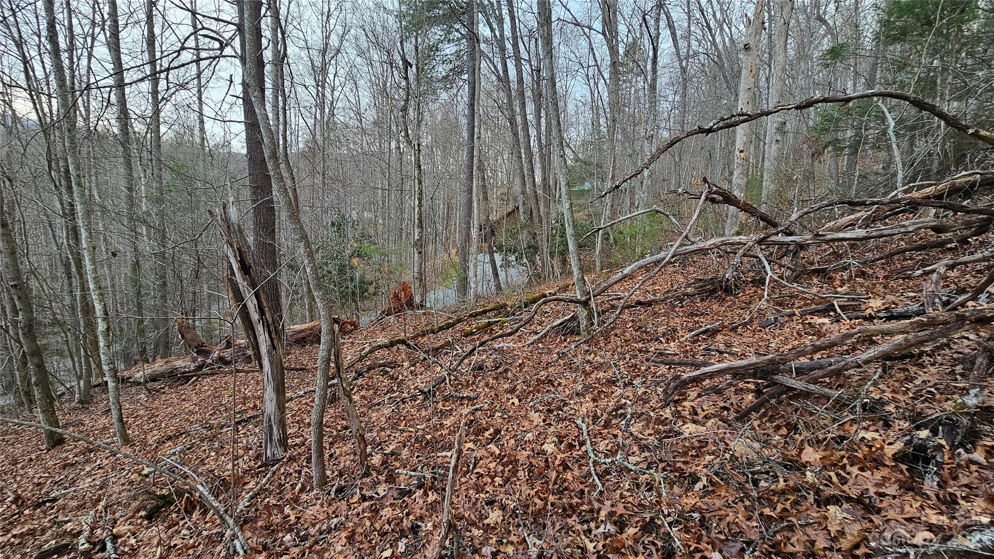 Lot 13 Seay Mountain Road