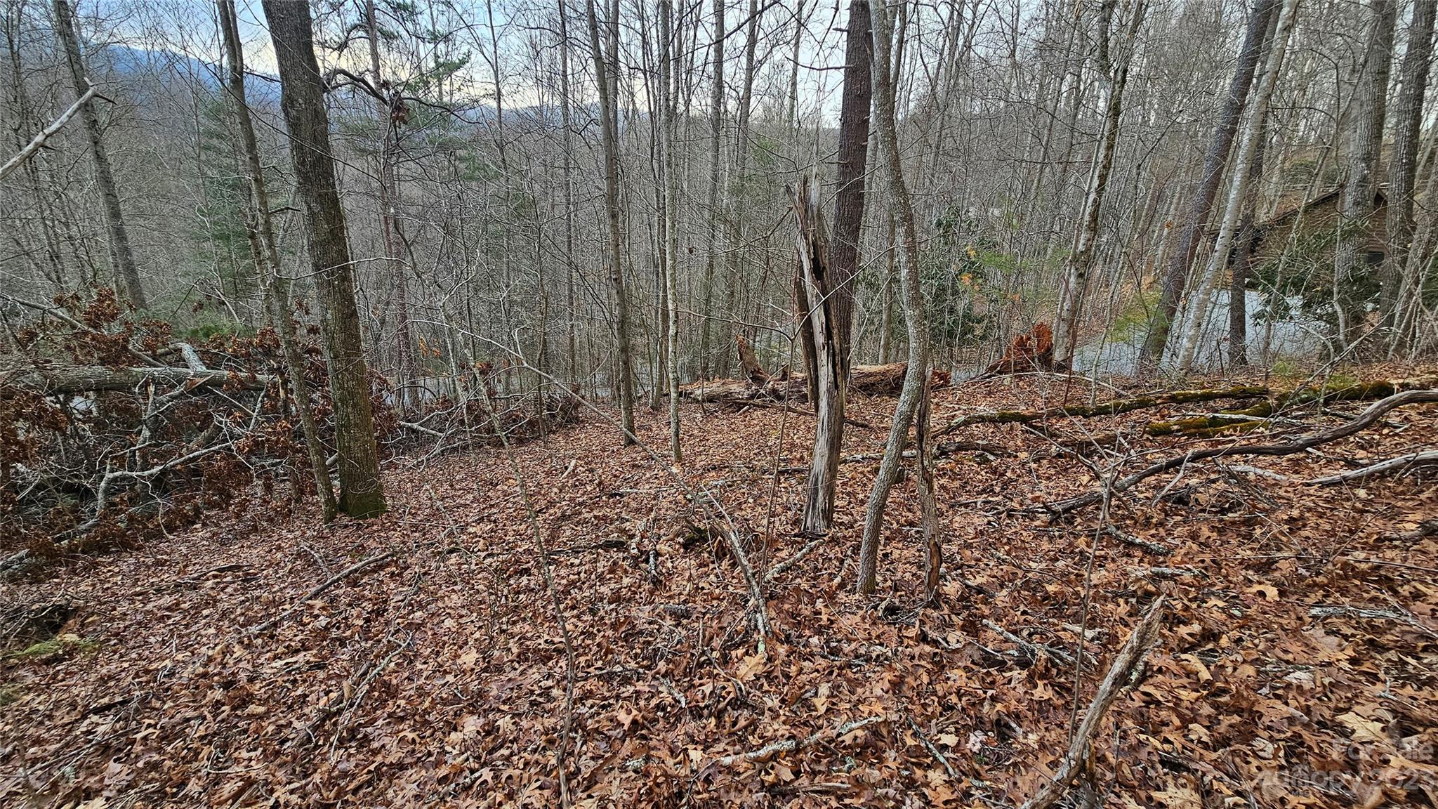 Lot 13 Seay Mountain Road