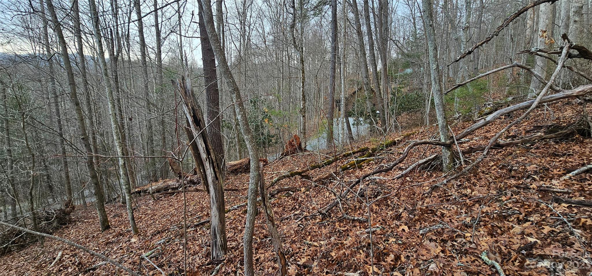 Lot 13 Seay Mountain Road