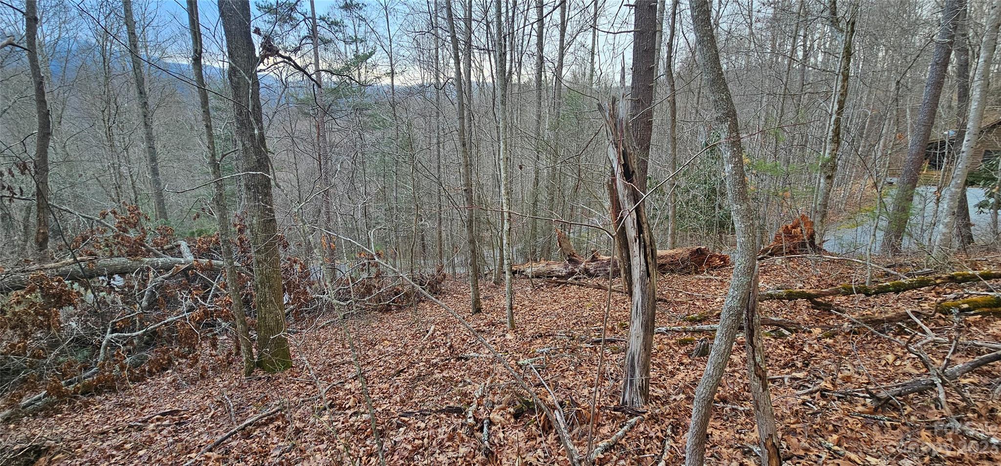 Lot 13 Seay Mountain Road