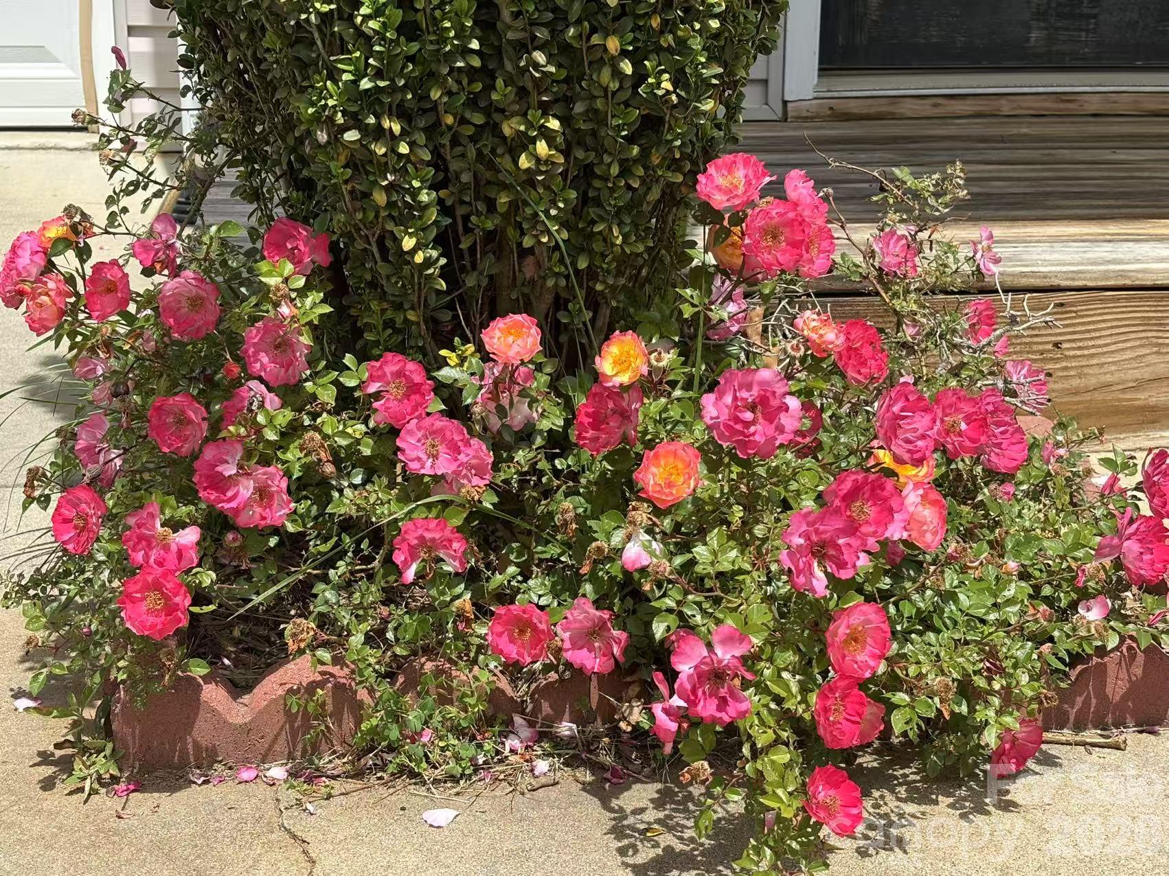 149 Alpine Ridge Drive