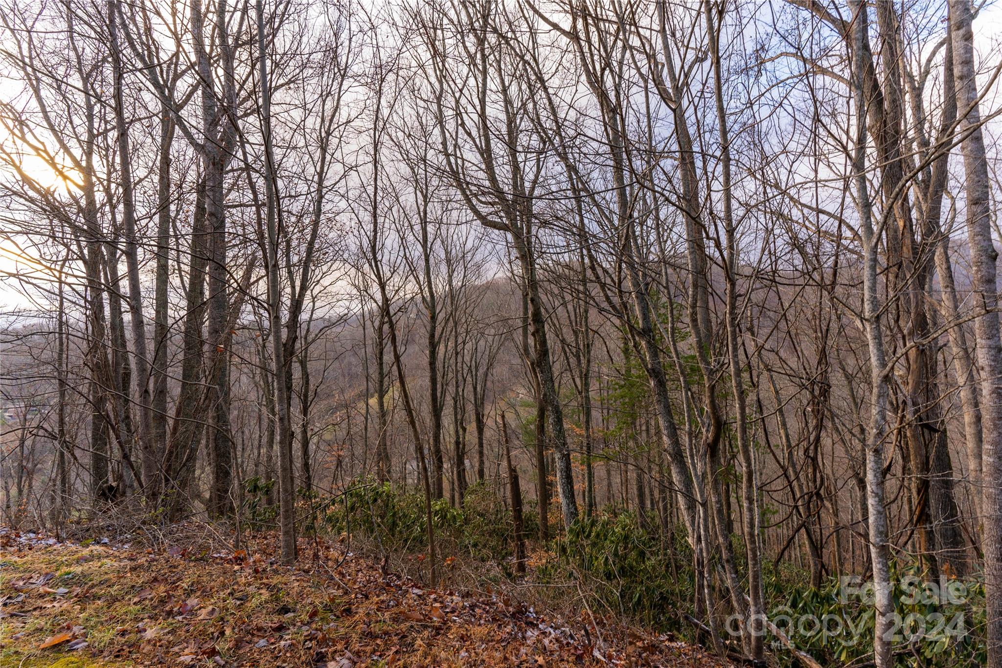 00 Turkey Run Lane