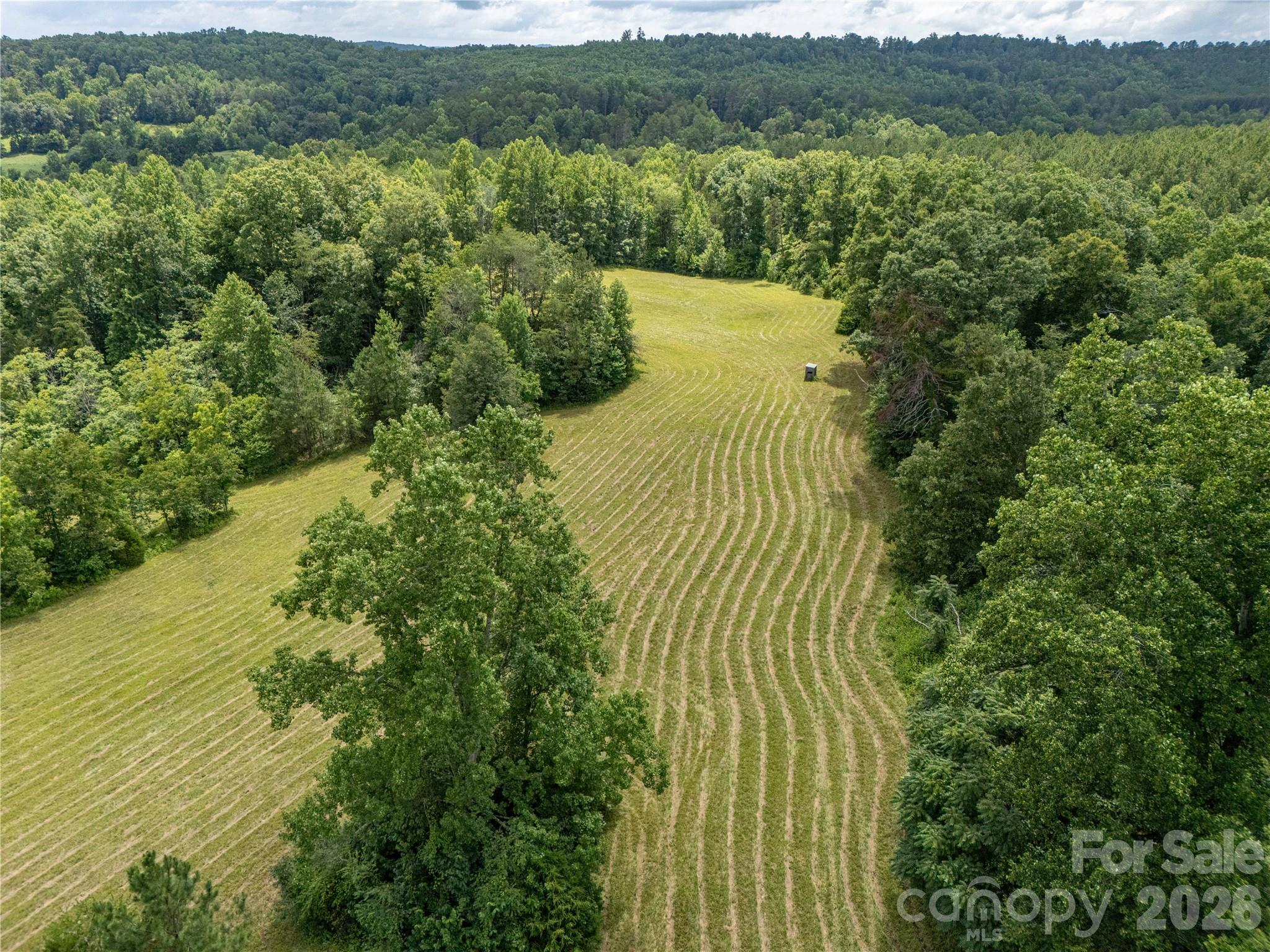 717 Frog Creek Road