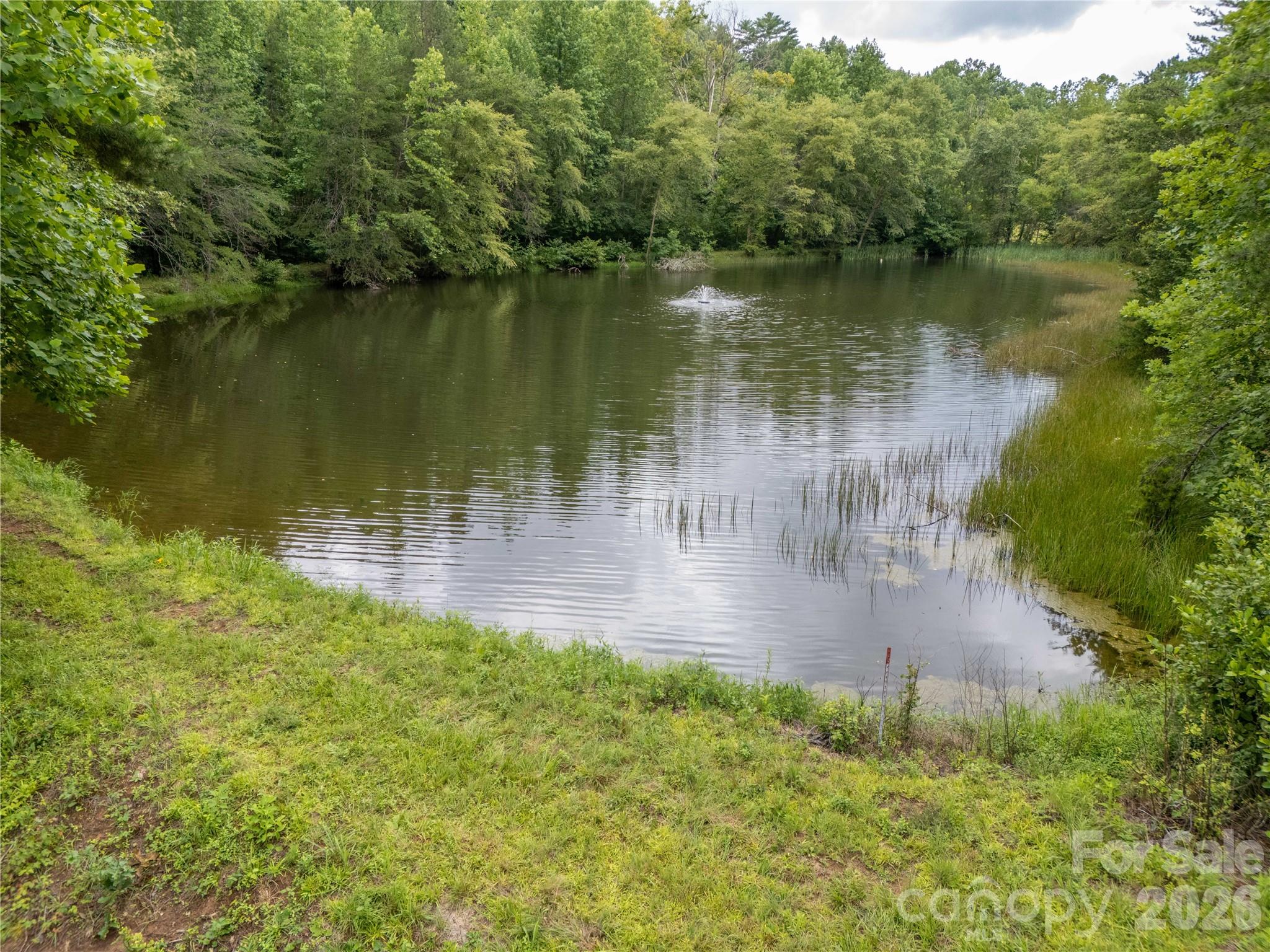 717 Frog Creek Road