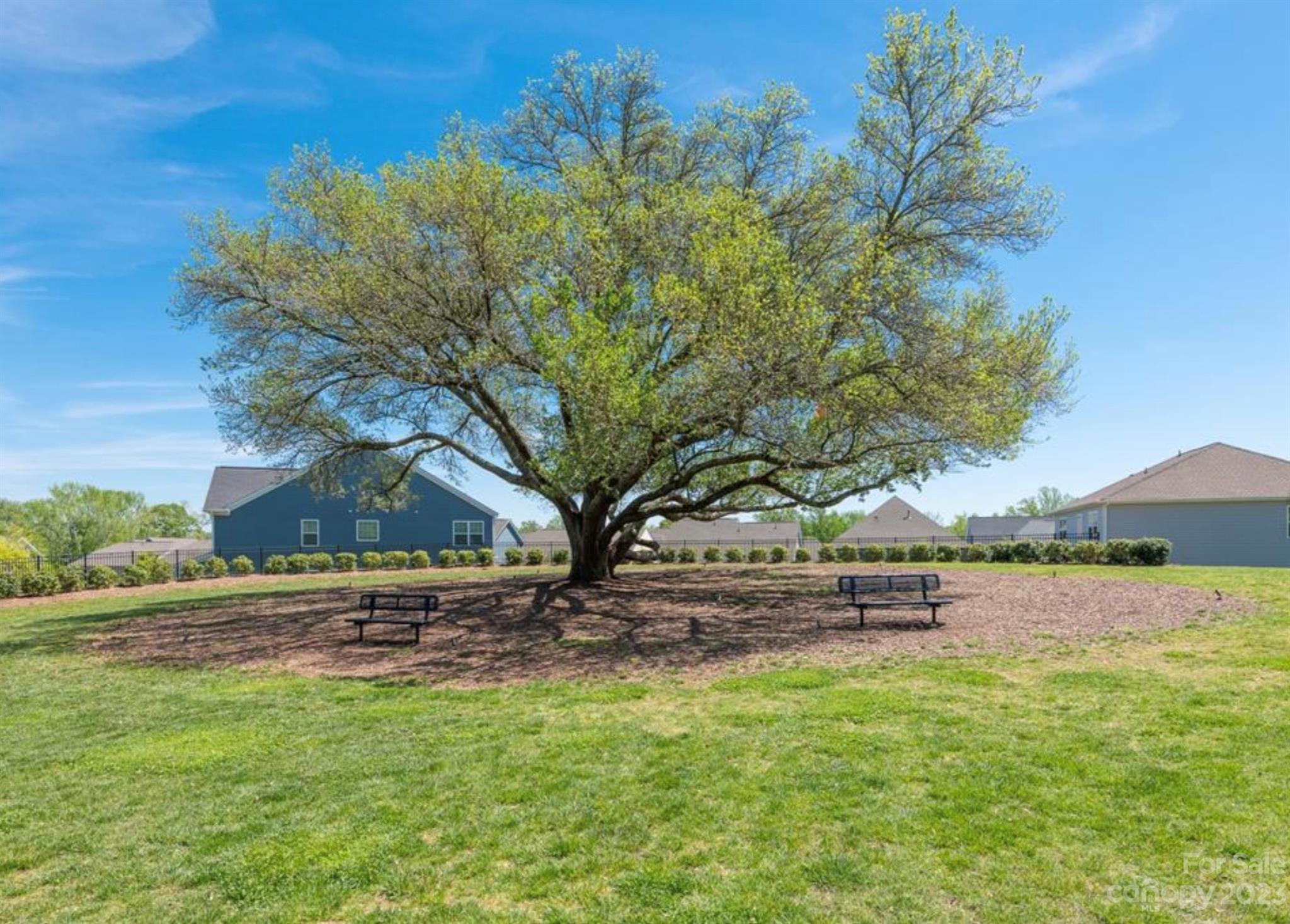 Oakland Pointe - Residential