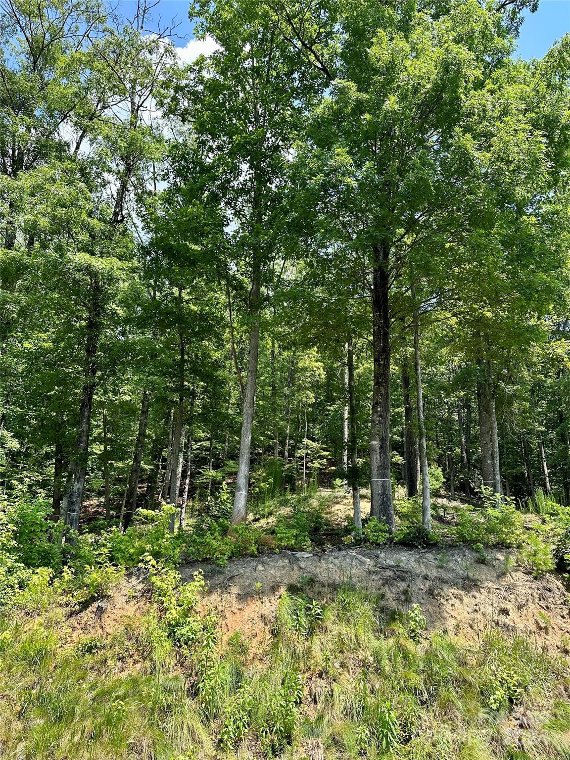 4110 French Broad Parkway 55