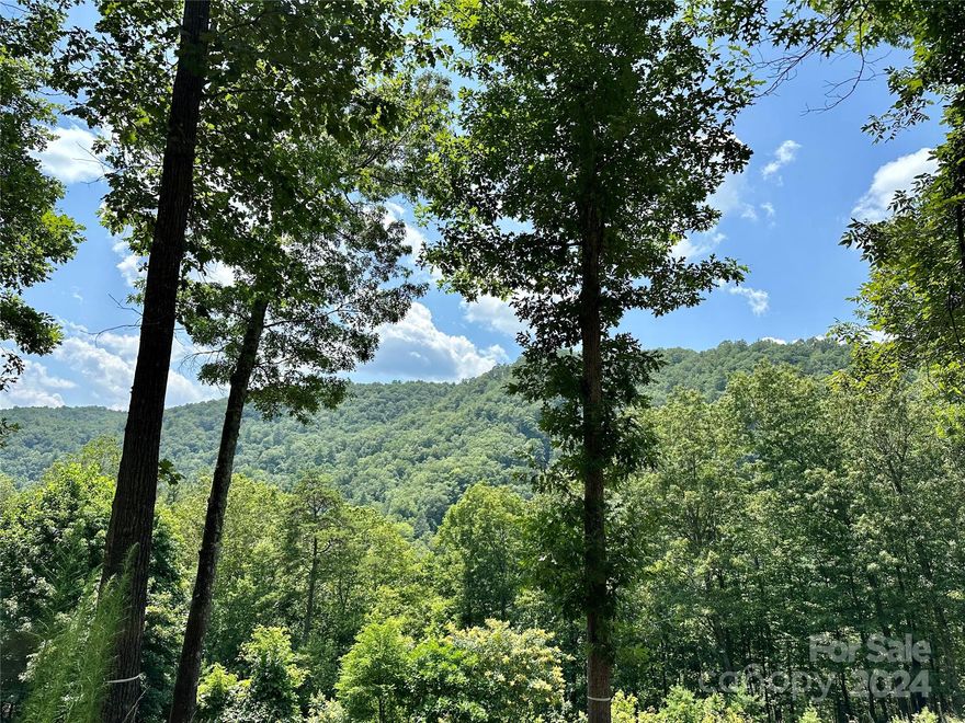 Listen to the roar of the French Broad River below from this lovely 2.26 acre homesite. This well-situated location has a winter view of the river and is close to the River Park! Are you looking for the perfect easy-build site to execute your dream mountain retreat? Look no further! A driveway has also already been established! If you're looking for that special place to build a mountain home or vacation getaway, you have found it here. French Broad Crossing is a gated conservation community with easy access to Asheville, Hot Springs, and Weaverville all with amenities galore! Enjoy the River Lodge, Fitness Center, Pool, River Park, Treehouse, and miles of walking/ATV trails! Relax and watch the sunset from the River Lodge, gather with family and friends by the fire, or just absorb nature on the trails. This is THE place to check out of the daily hustle and bustle and take a deep breath! Fiber Optic cable has also been wired throughout the neighborhood. FBC has a designated medical helicopter landing zone.