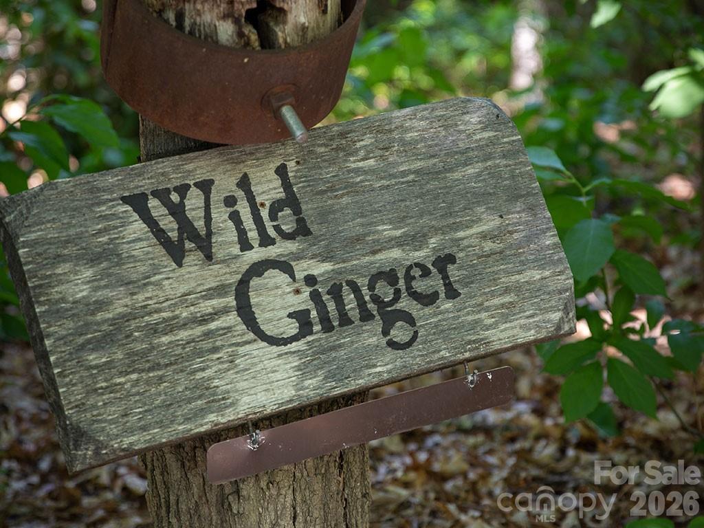 Balsam Mountain Preserve - Residential