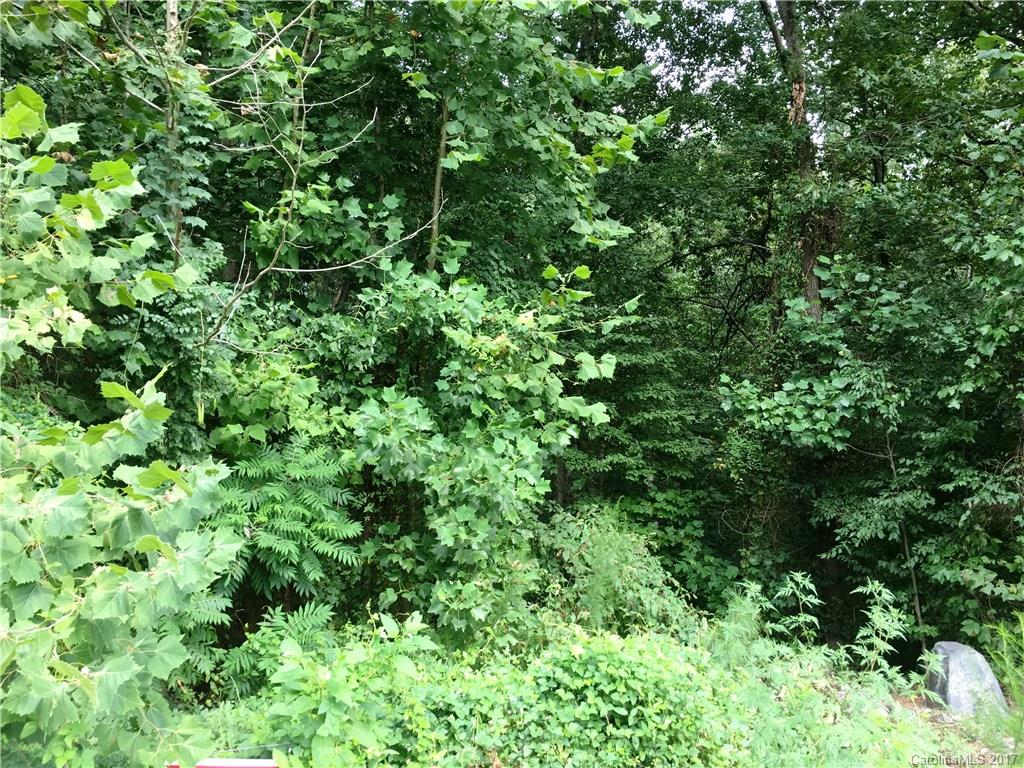 Northington Woods - Land