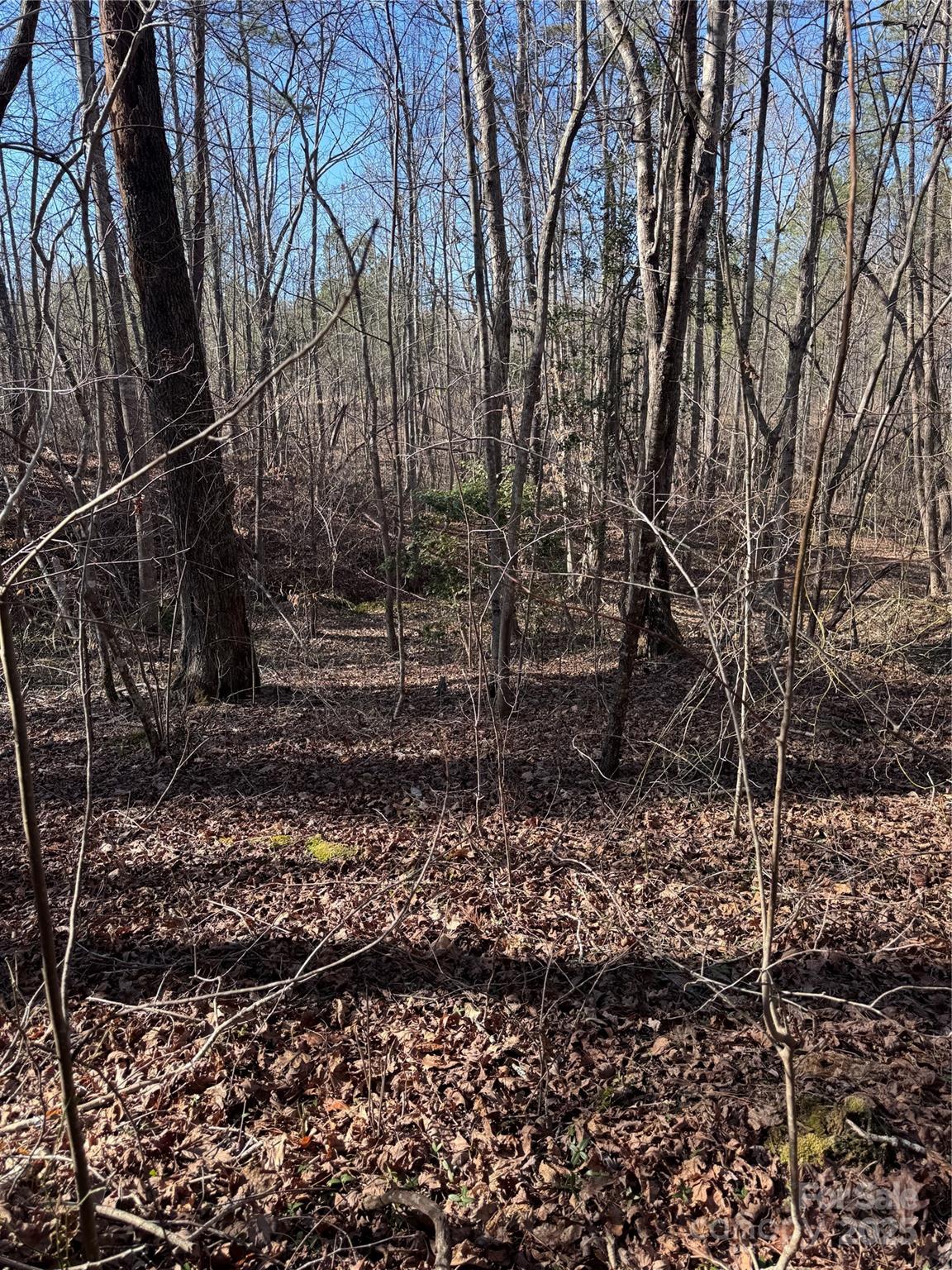 Black Rock Falls - Land