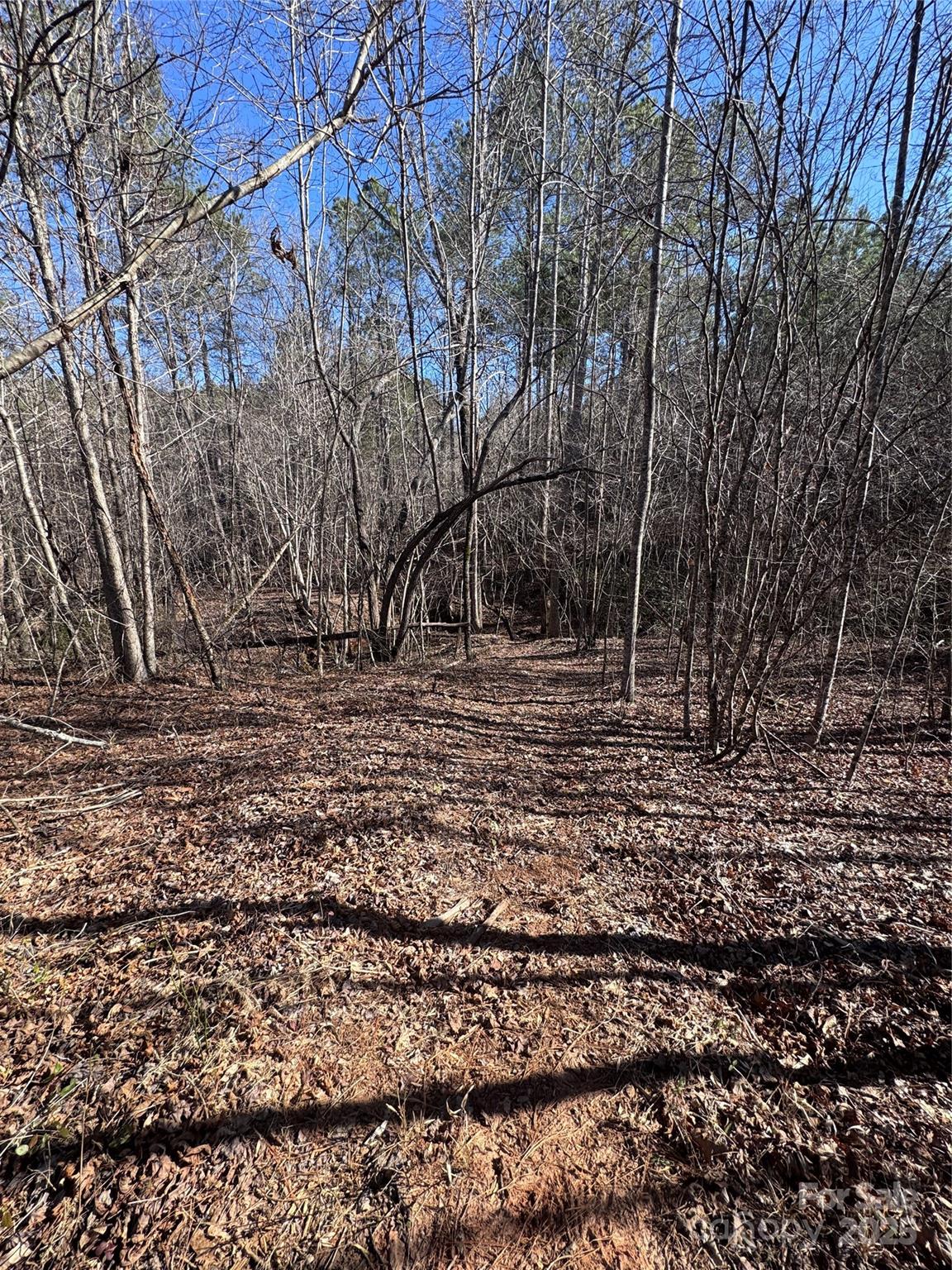 Black Rock Falls - Land