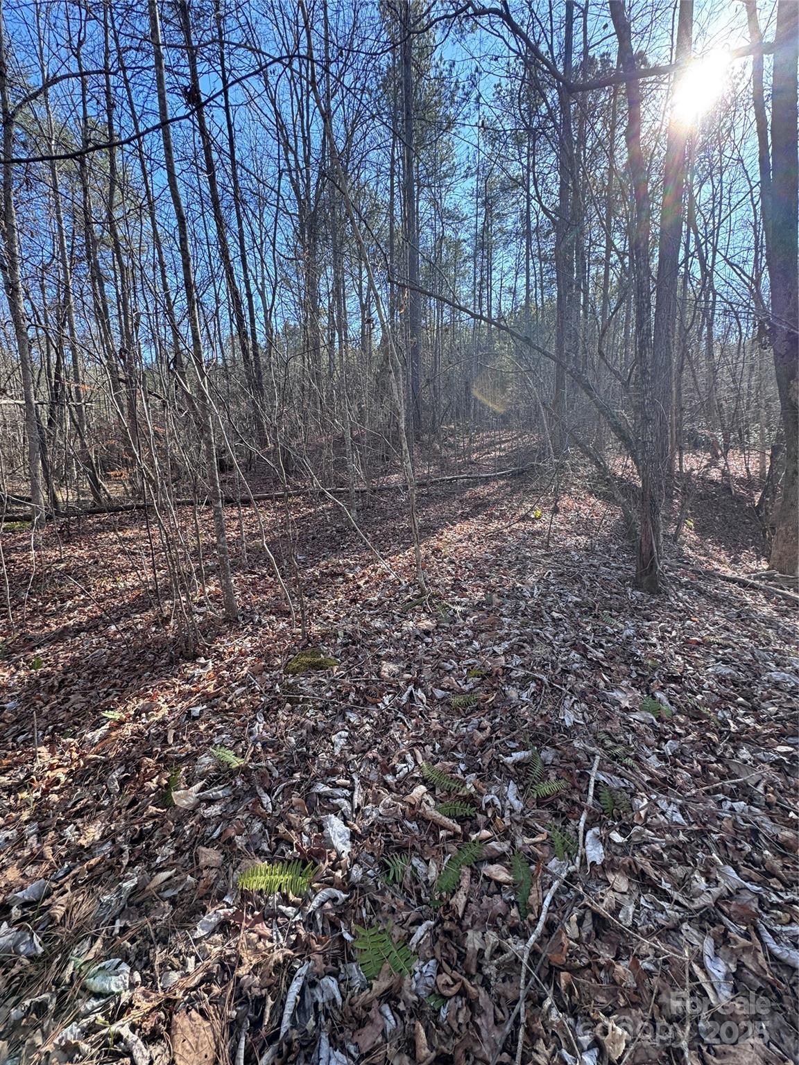 Black Rock Falls - Land