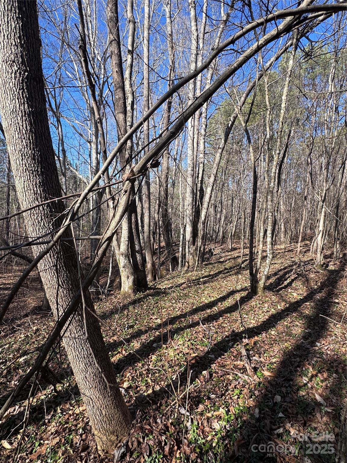 Black Rock Falls - Land