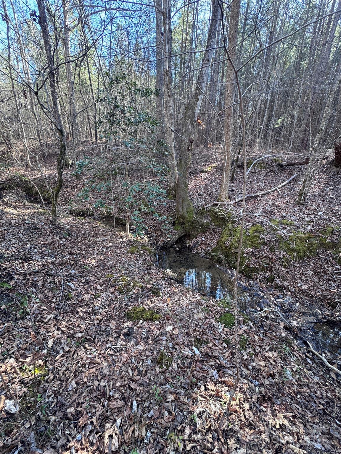 Black Rock Falls - Land