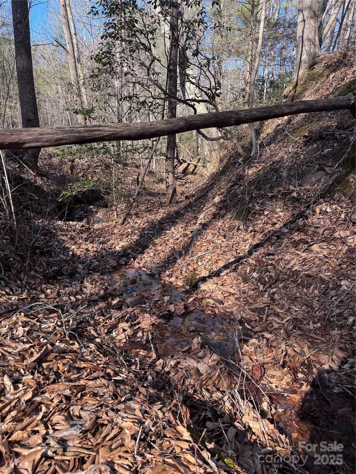 Black Rock Falls - Land