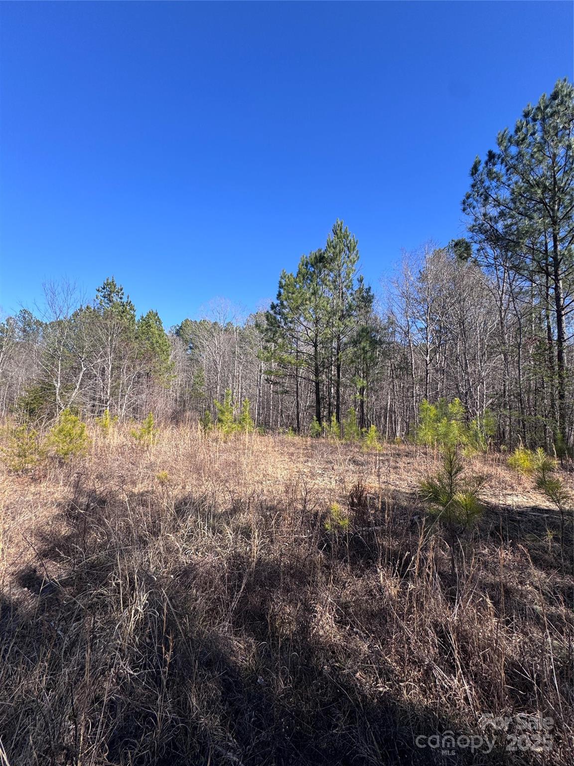 0 Black Rock Drive 30