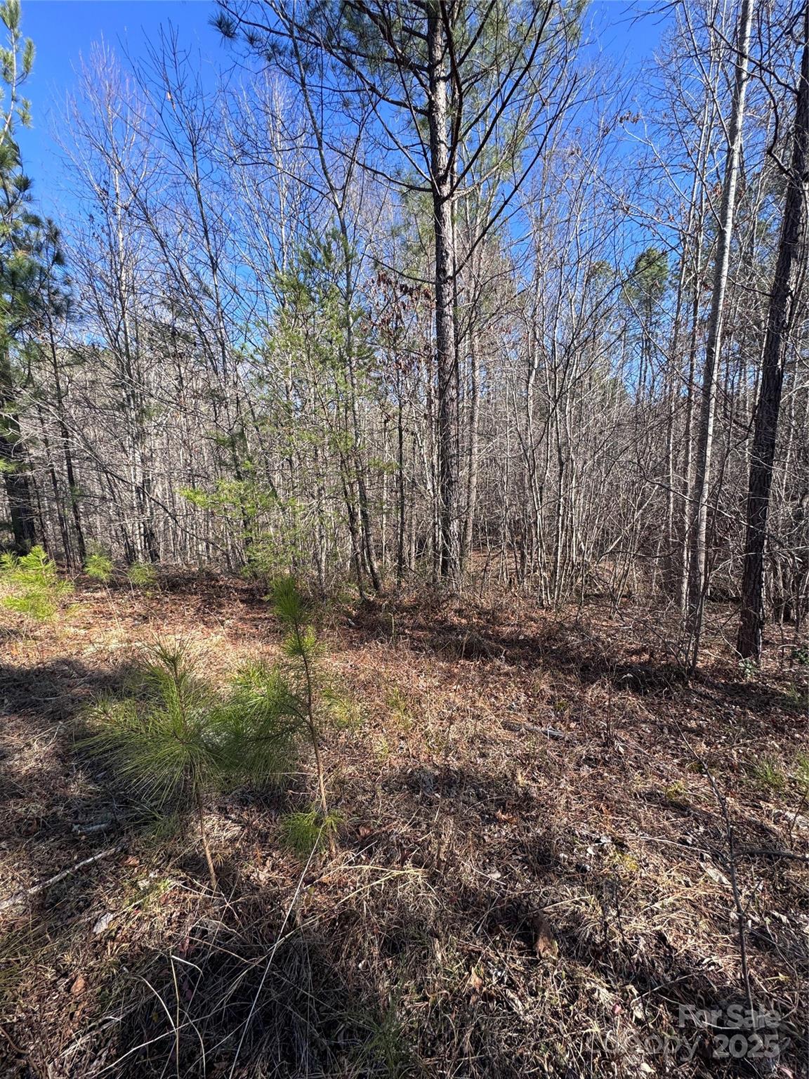 0 Black Rock Drive 30