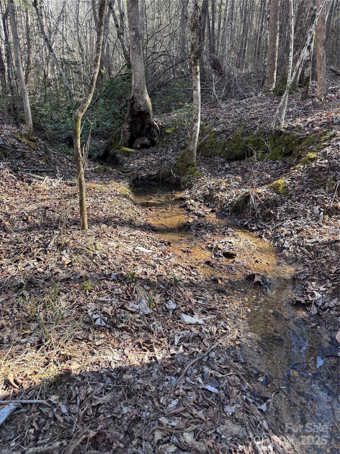 Black Rock Falls - Land