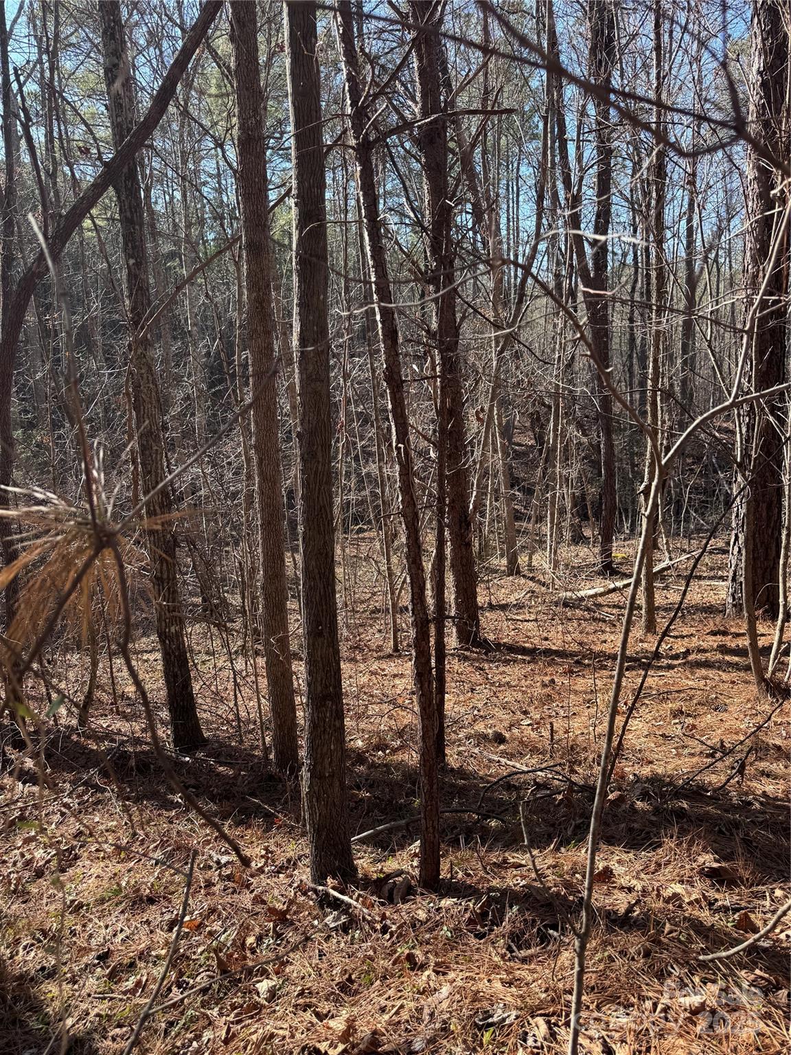 Black Rock Falls - Land