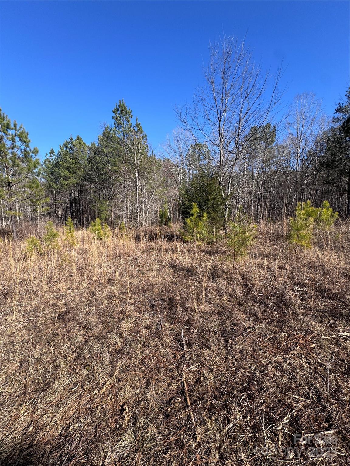 Black Rock Falls - Land