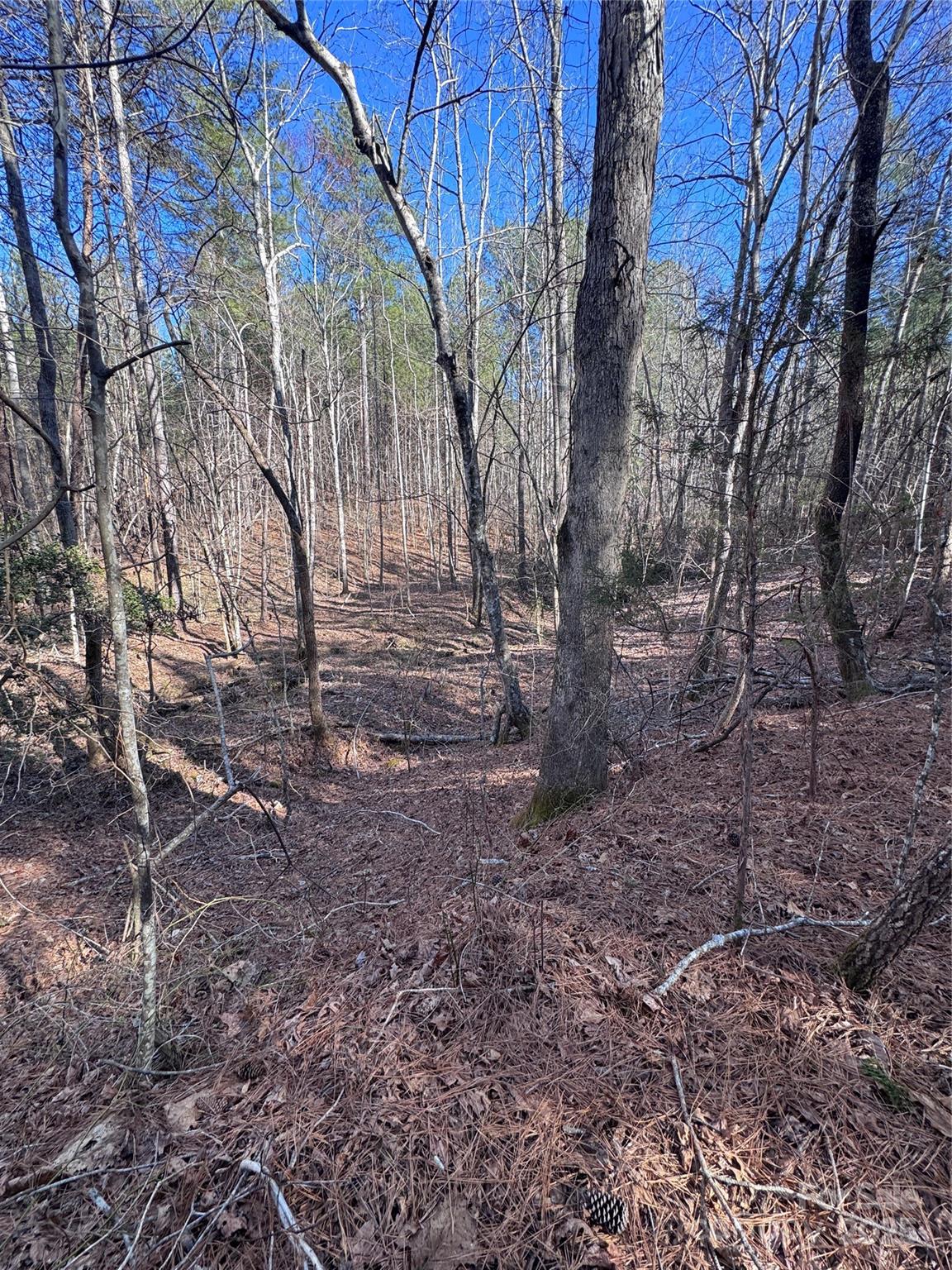 Black Rock Falls - Land