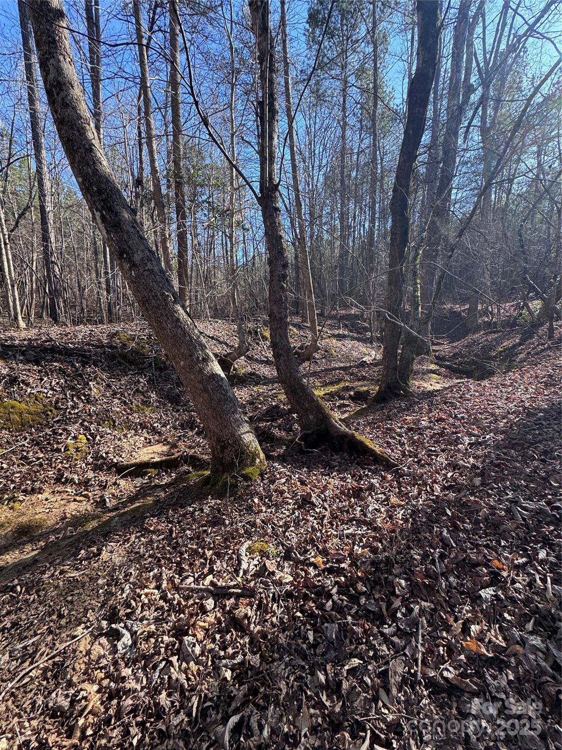 Black Rock Falls - Land