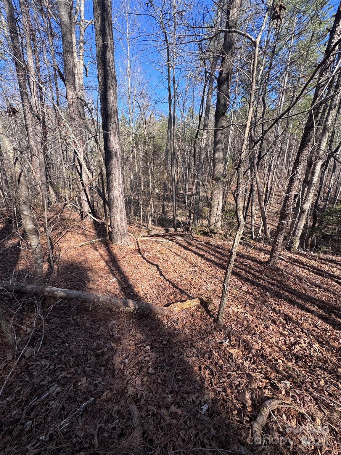 Black Rock Falls - Land