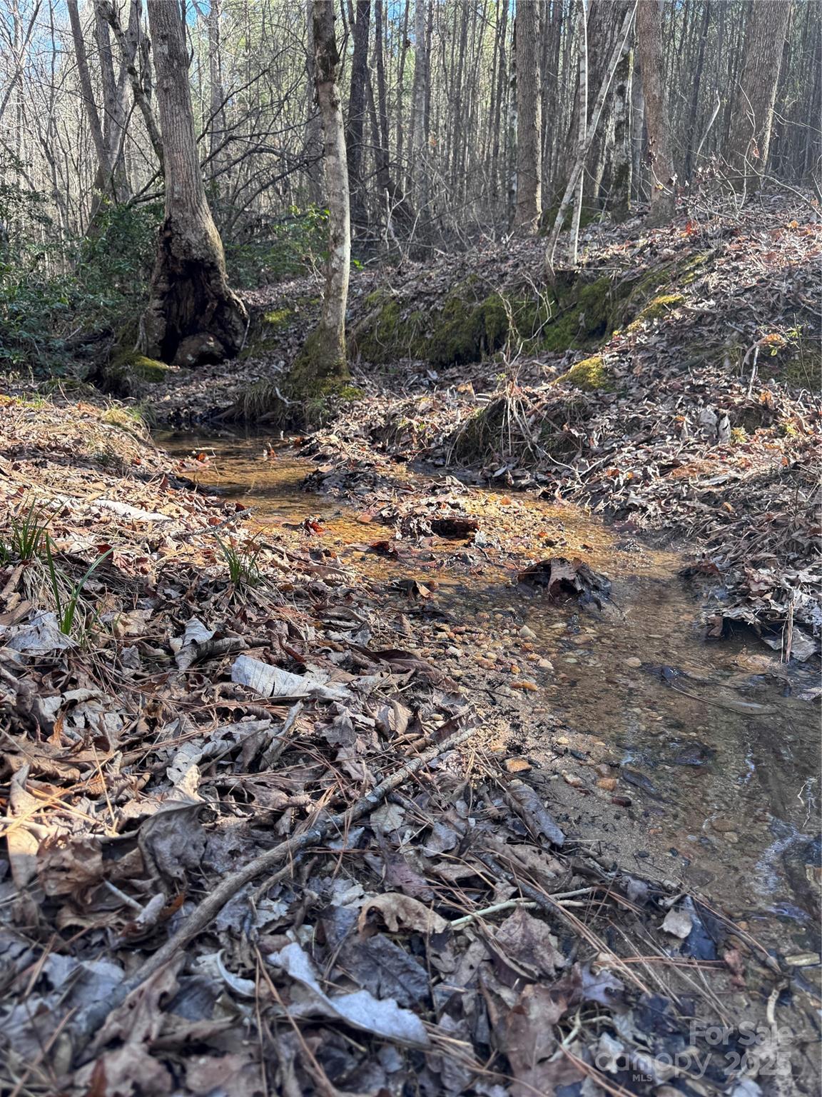 Black Rock Falls - Land