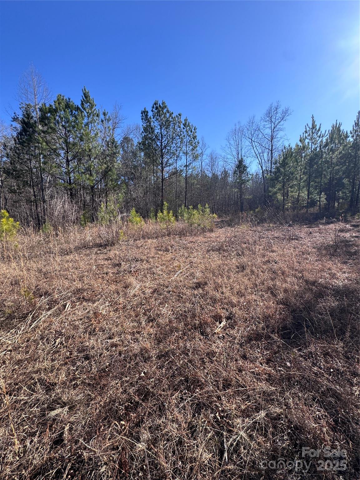 Black Rock Falls - Land