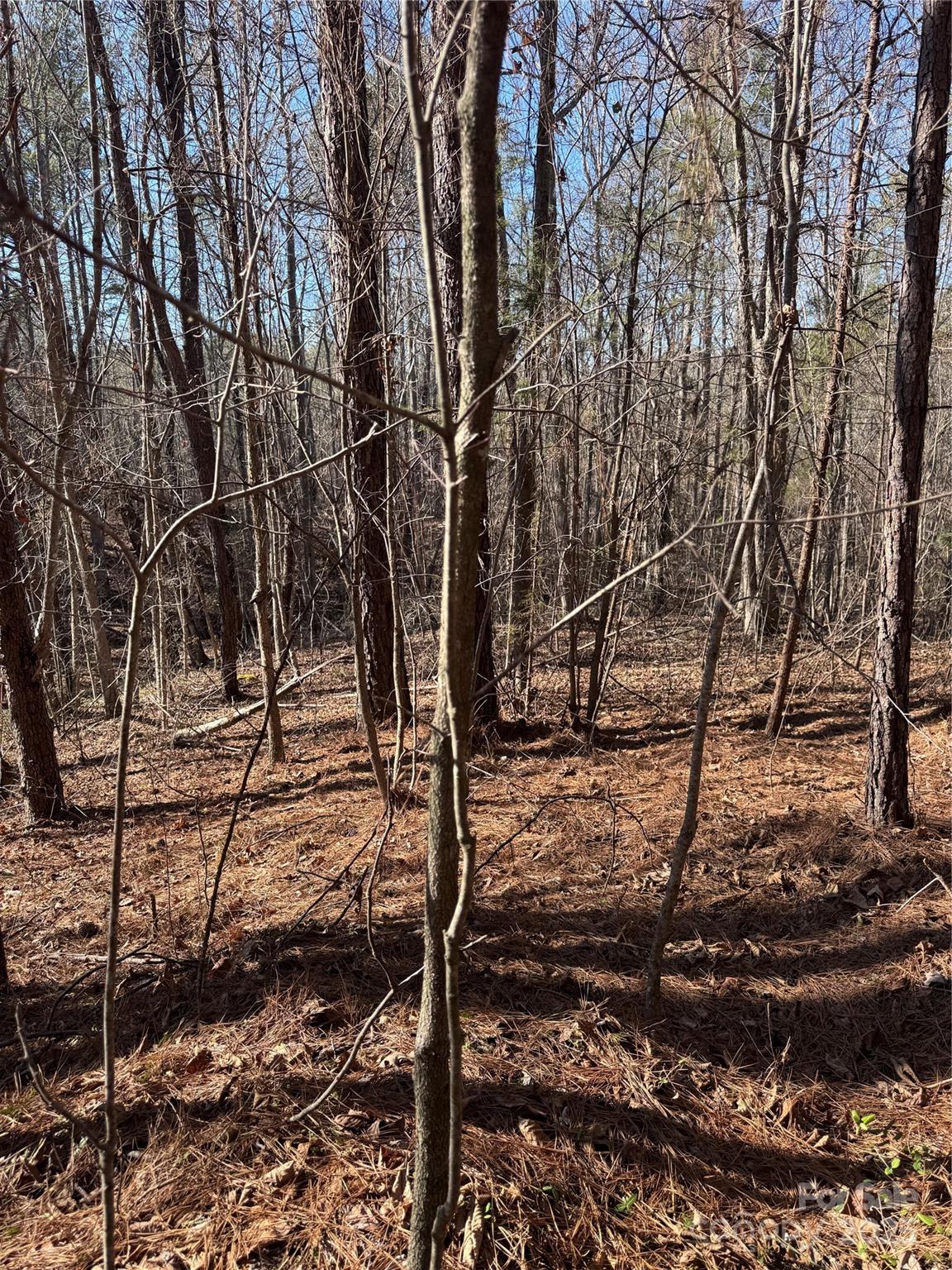 Black Rock Falls - Land