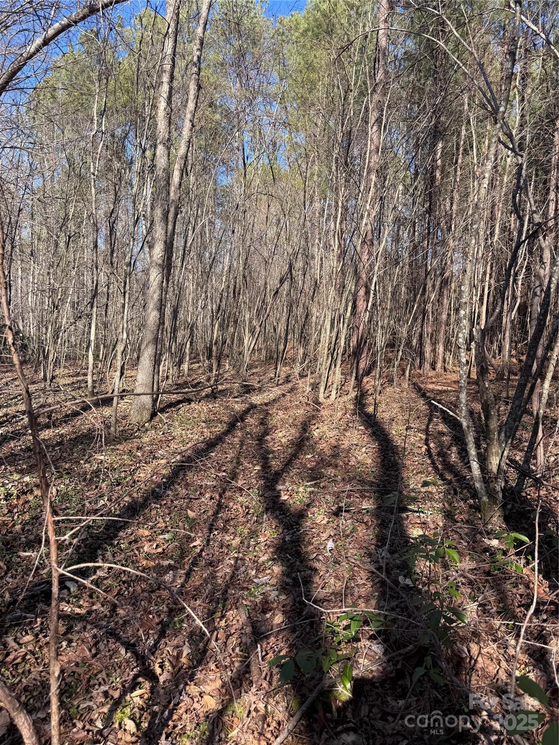 Black Rock Falls - Land