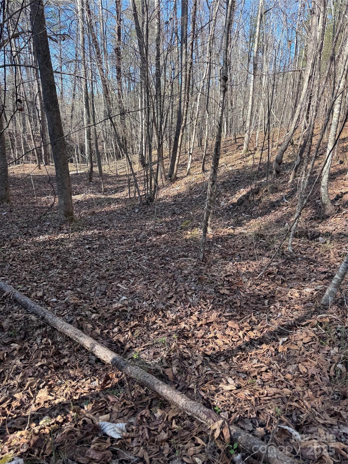 Black Rock Falls - Land