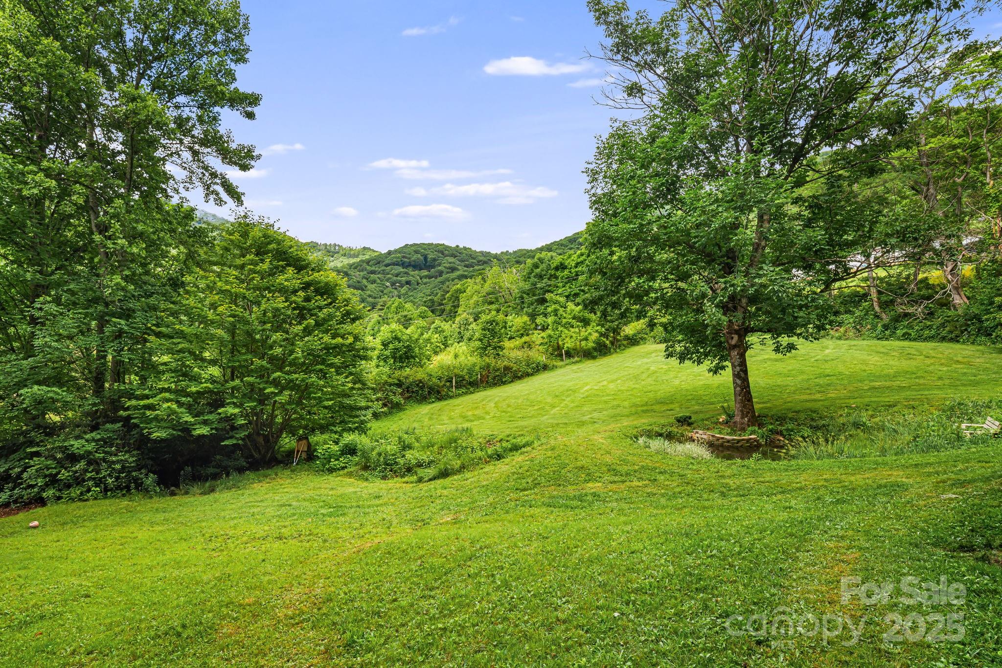 24 Cataloochee Lane