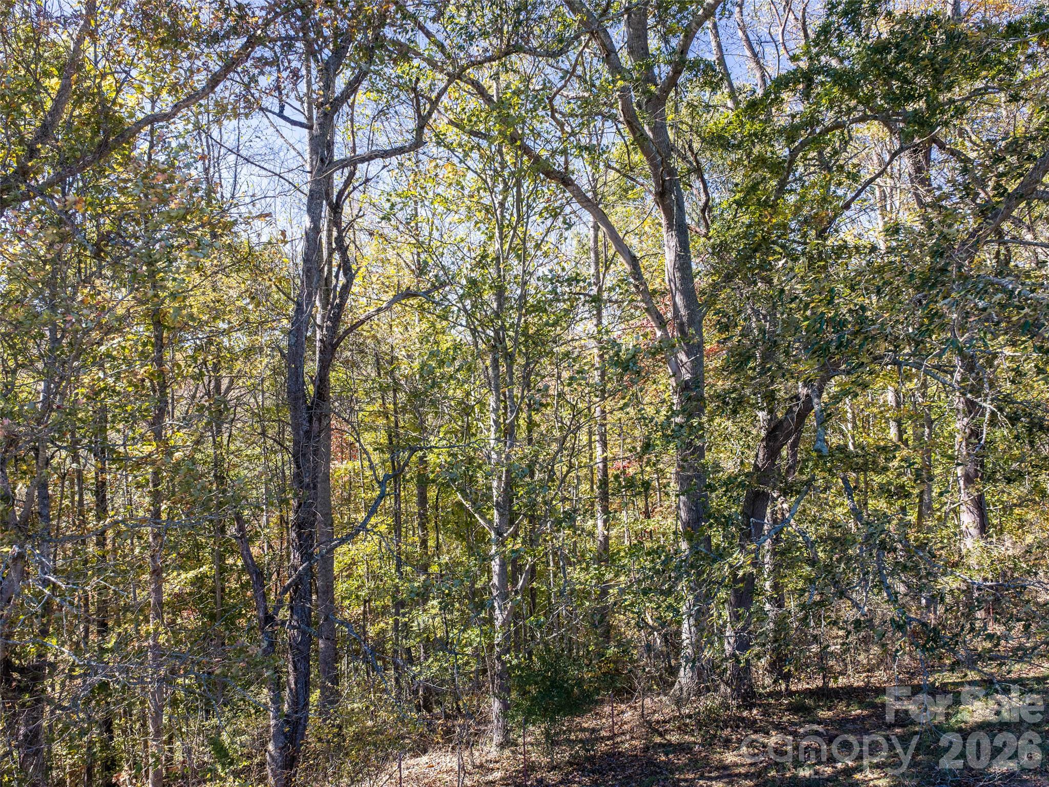 00 Shelton Laurel Road