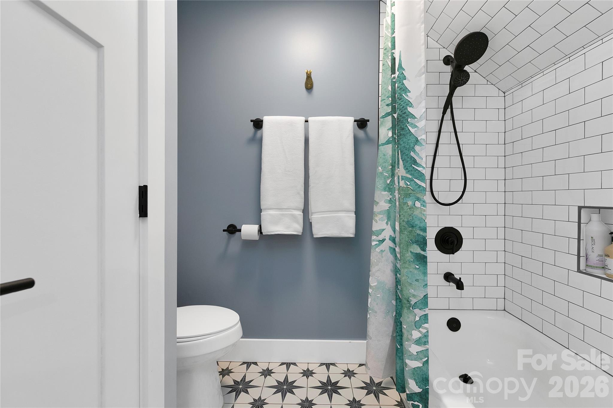 Brevard Ridge - Residential