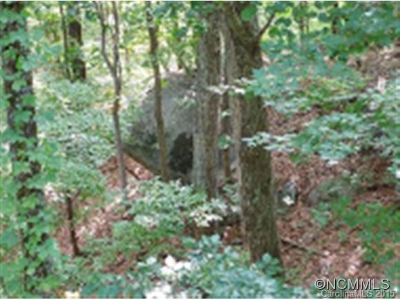 Rumbling Bald on Lake Lure - Residential