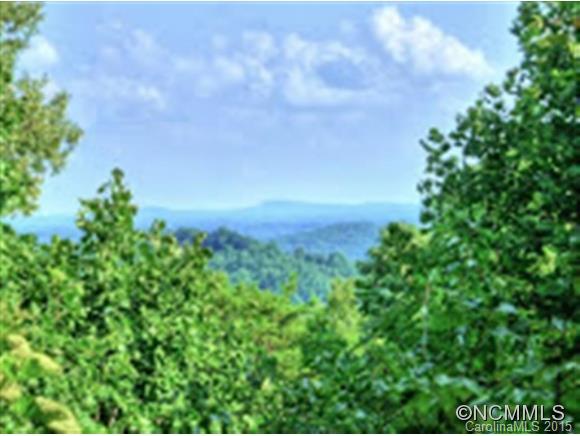 Rumbling Bald on Lake Lure - Residential