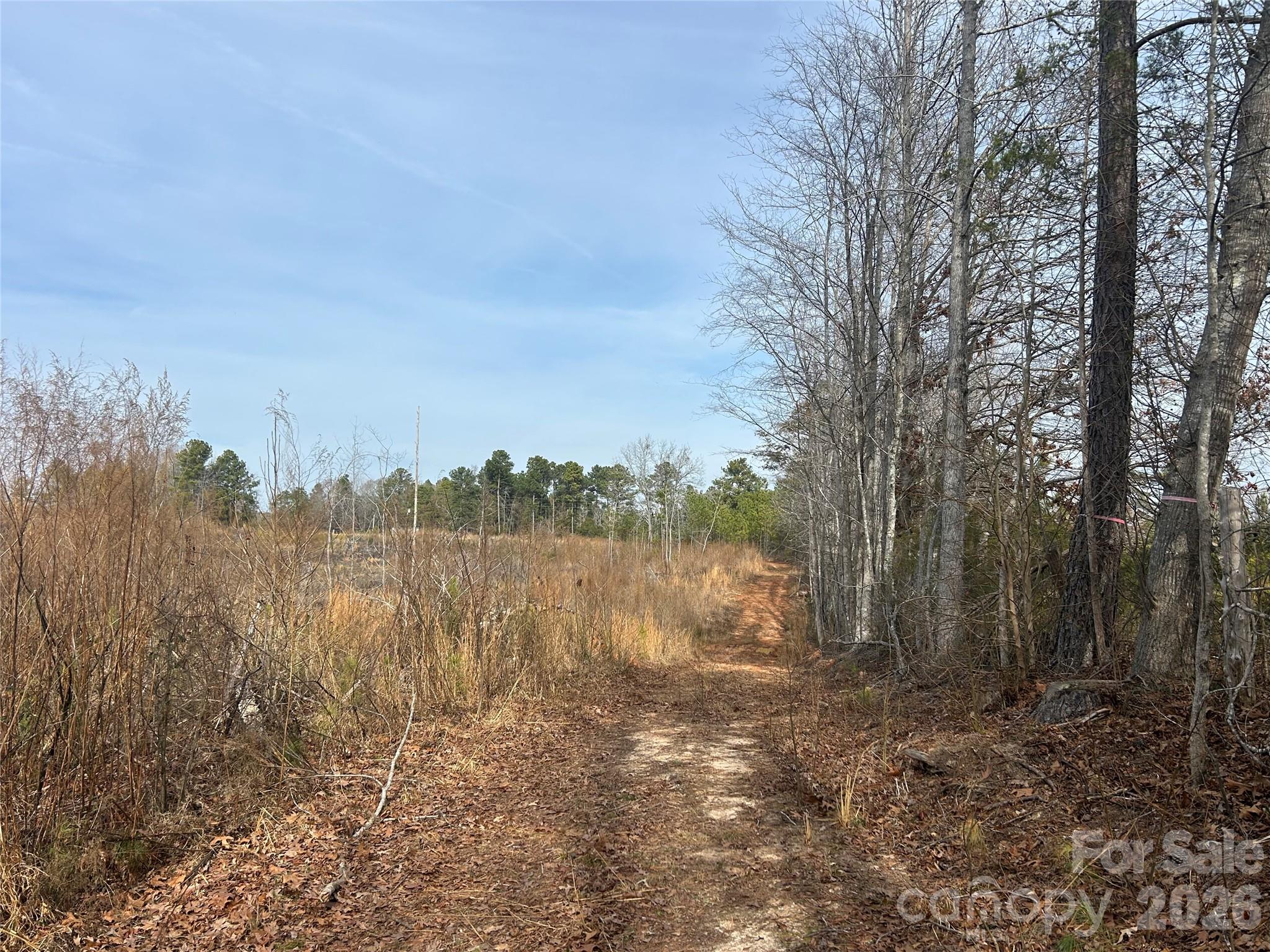 33 Ac Lot A Countryside Drive