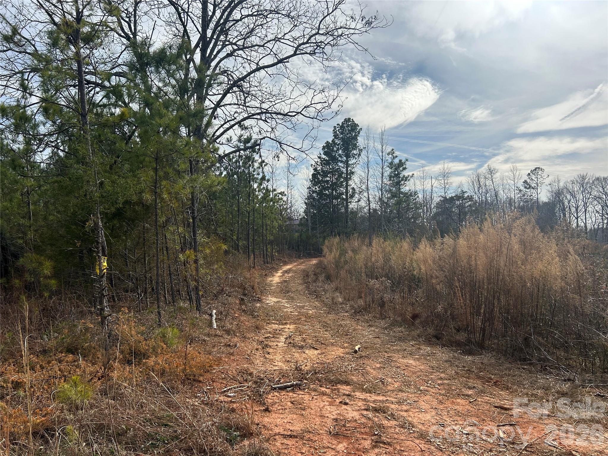 33 Ac Lot A Countryside Drive