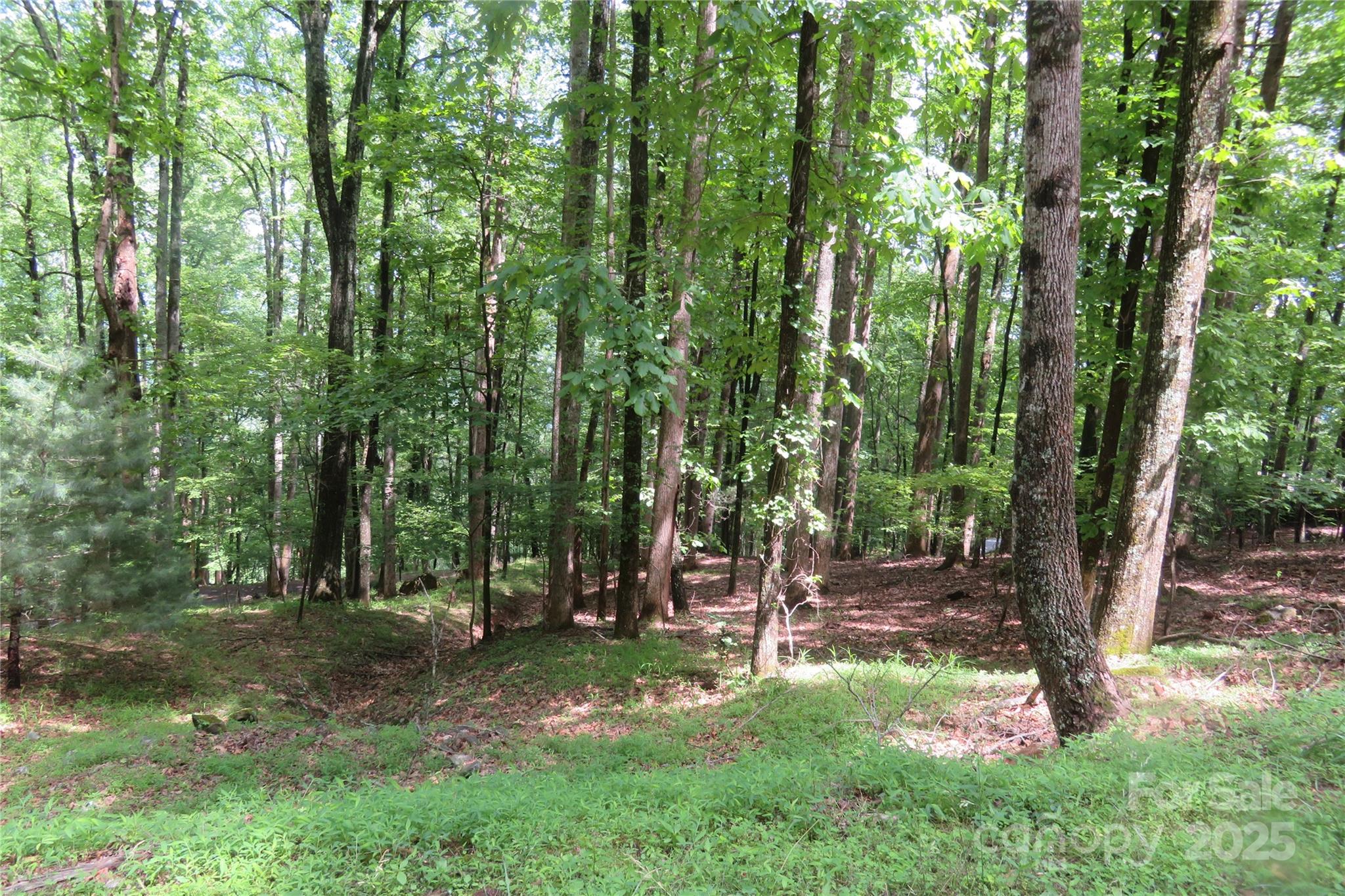 TBD Poplar Drive 152