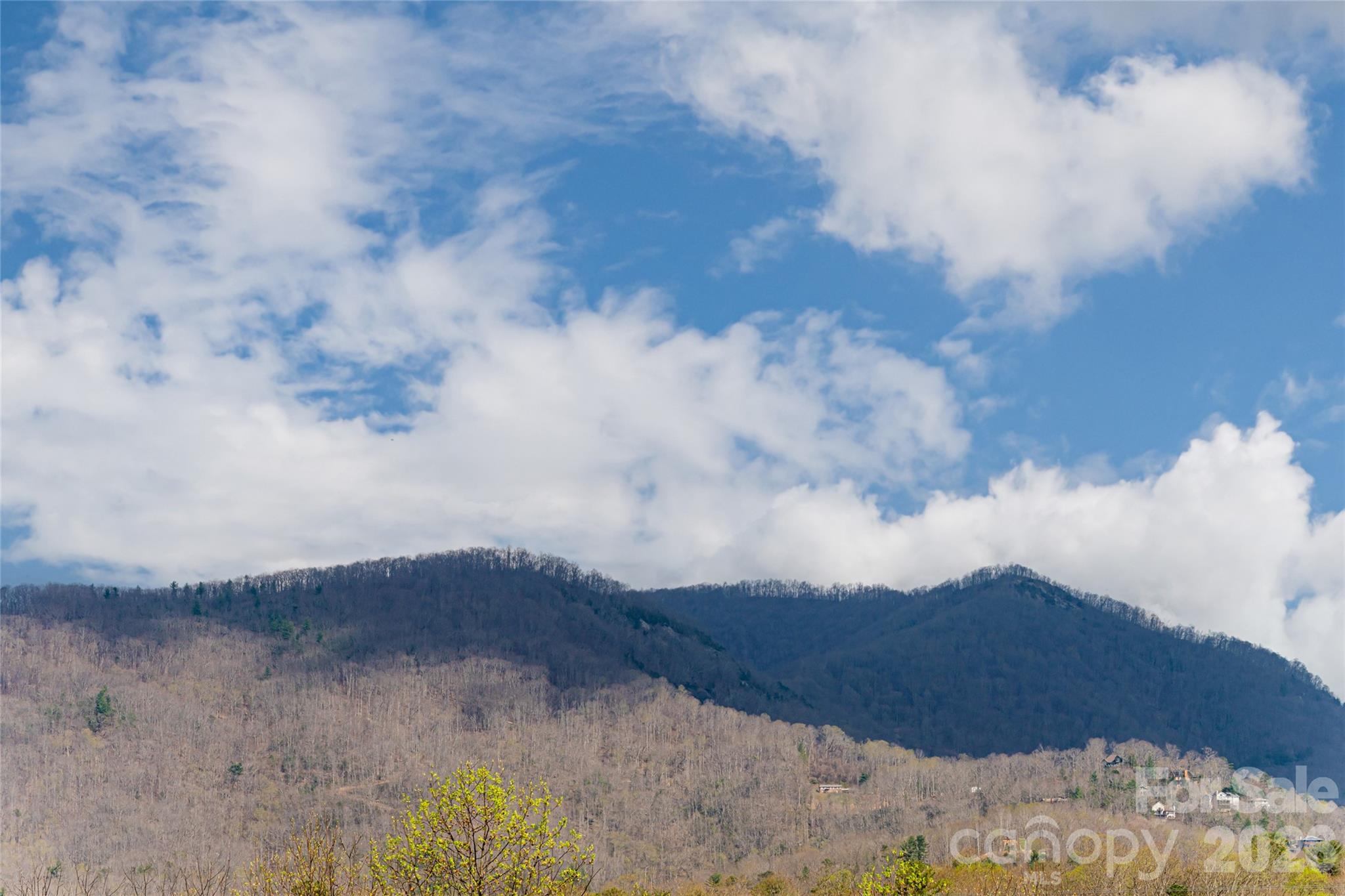 Alice Place - Residential