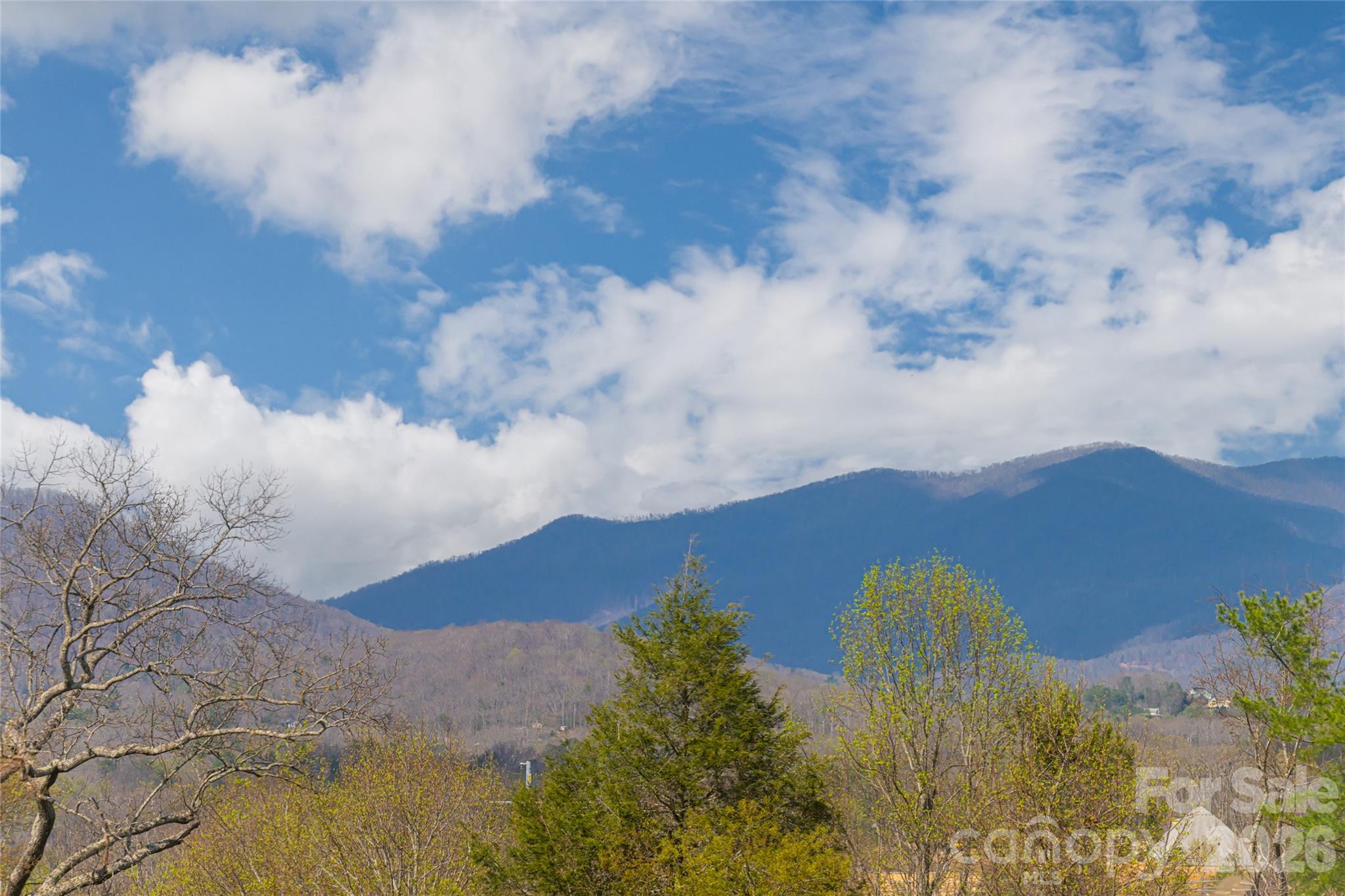 Alice Place - Residential