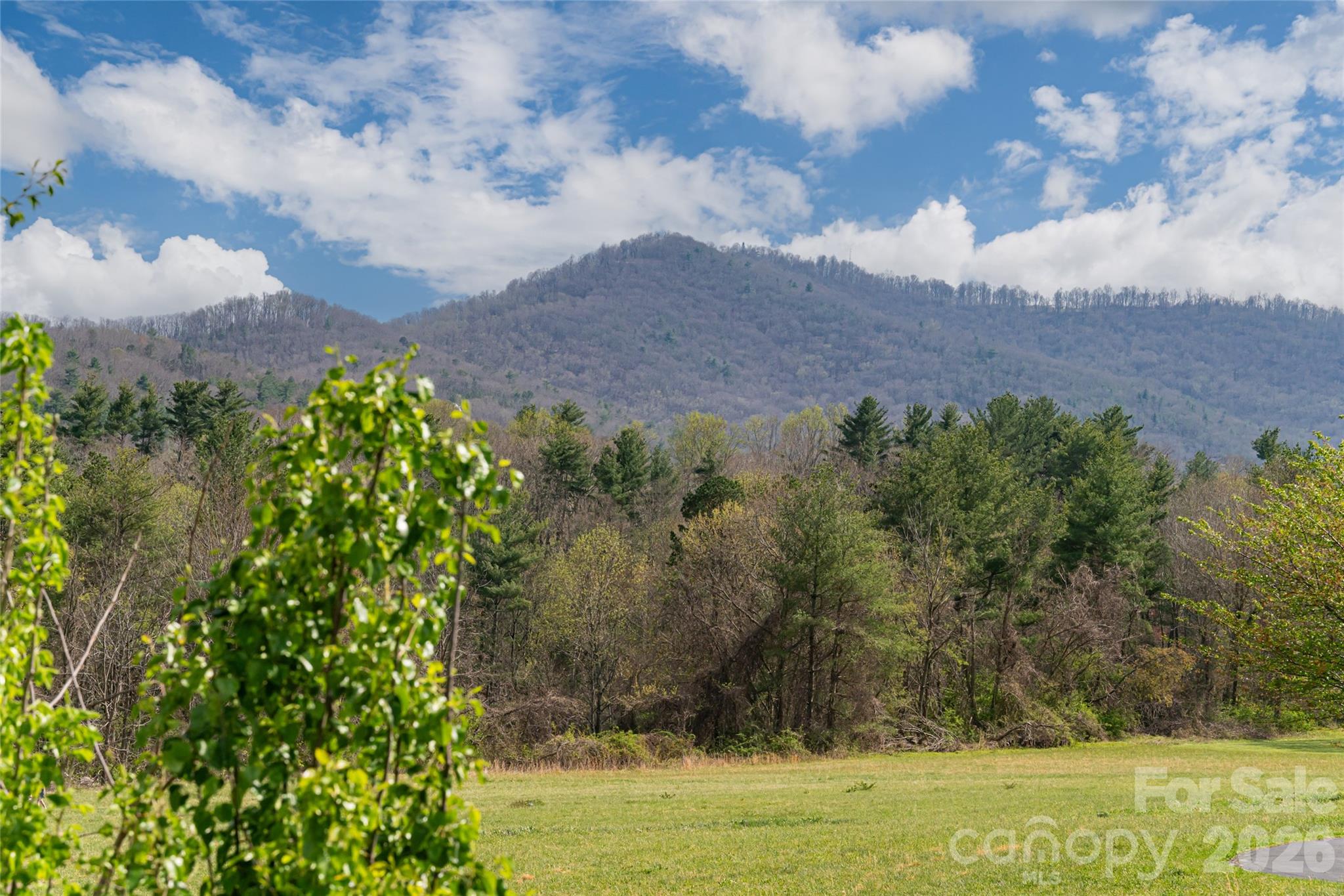 Alice Place - Residential