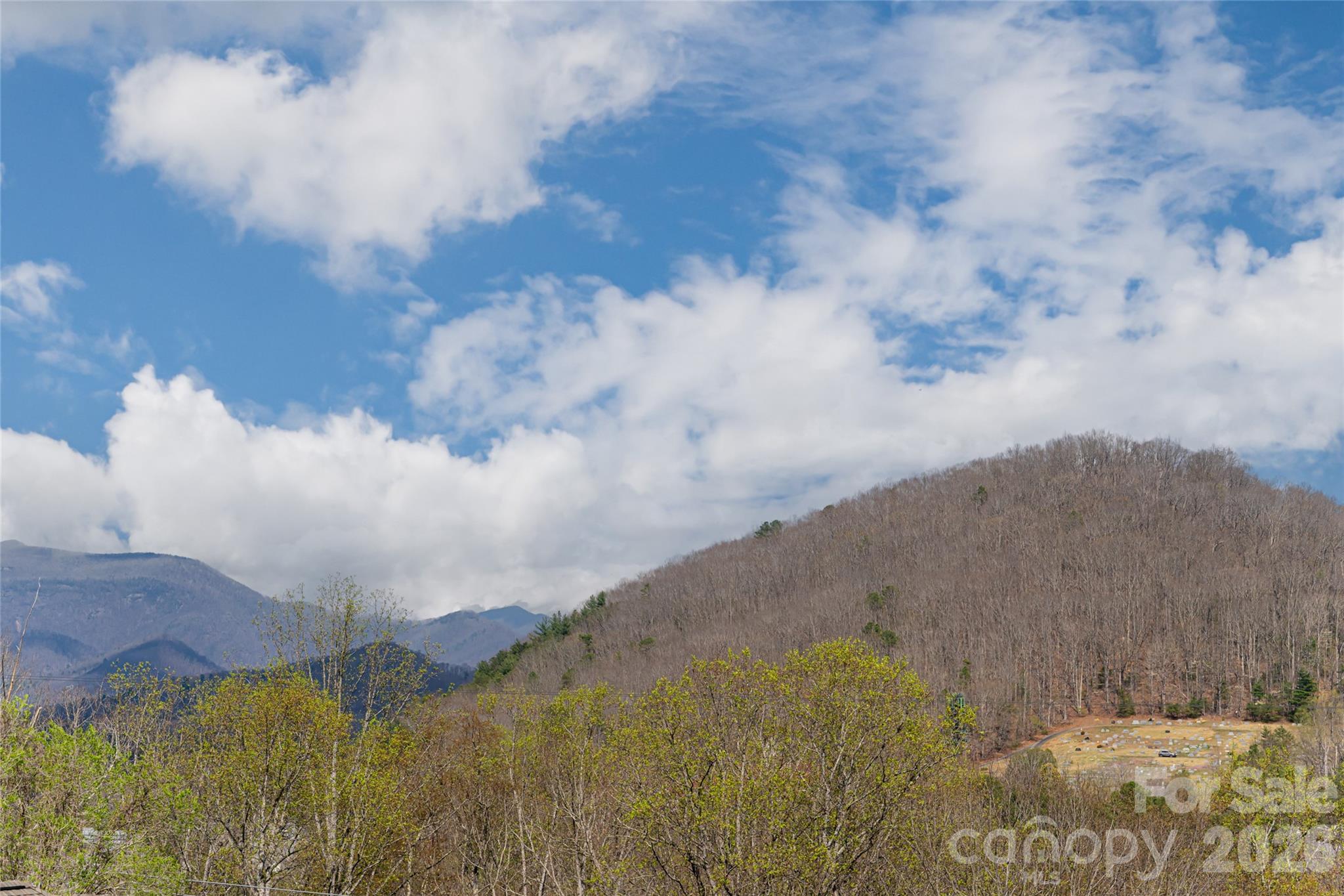 Alice Place - Residential