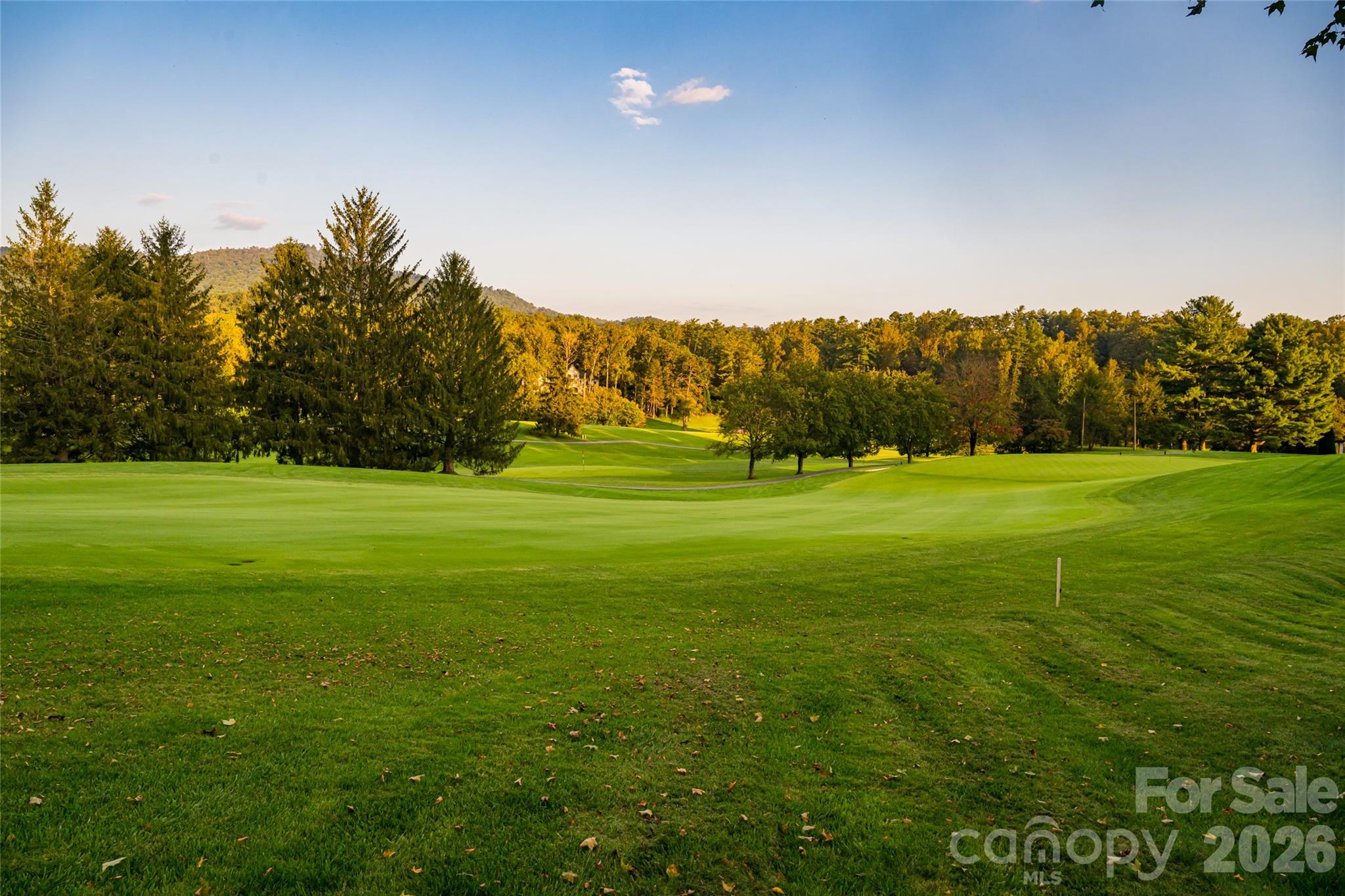 Biltmore Forest - Residential